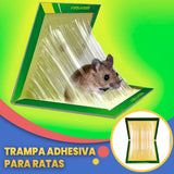 Trampa Adhesiva para Ratas